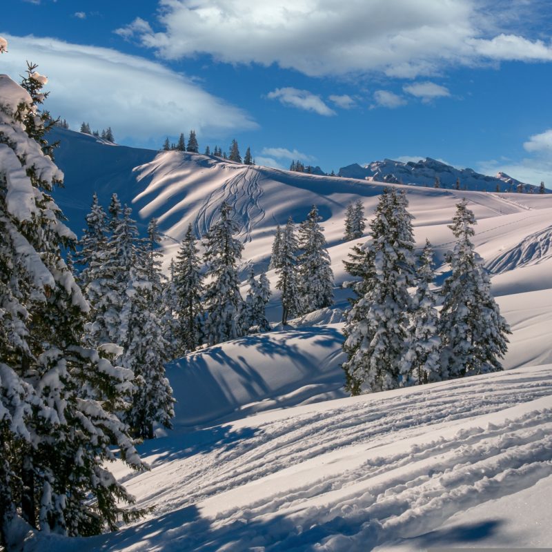 Eclat Alpin : Booster son organisme en hiver